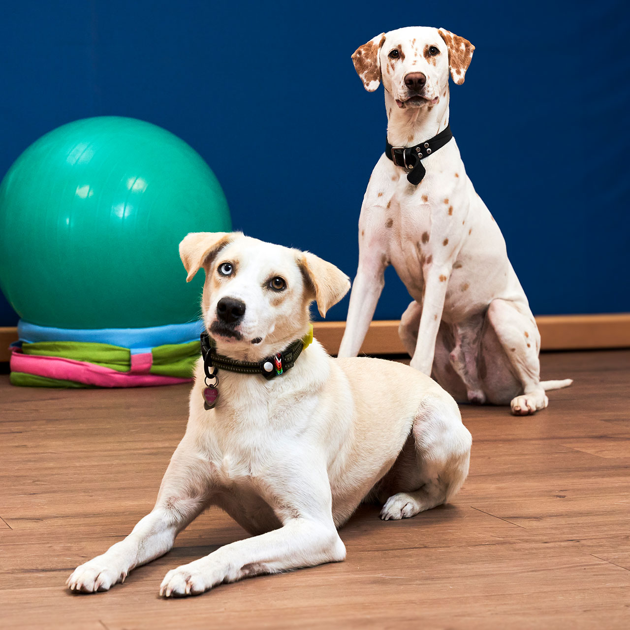 Holz Steckbrett Für Handrehabilitation - Motorik Training Für Ergotherapie